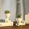 Fake Succulent Plants Artificial Potted Succulents Faux Mini Succulents Human Shape Ceramic Pots White or Home Office Decor